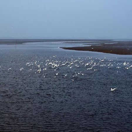 Wadden Sea And Sea Comfortable Ferienhaus Varel